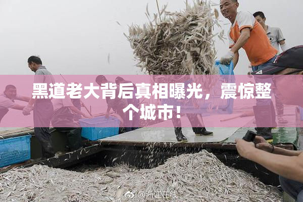 黑道老大背后真相曝光，震惊整个城市！