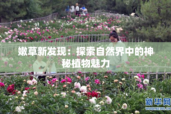 嫩草新发现：探索自然界中的神秘植物魅力