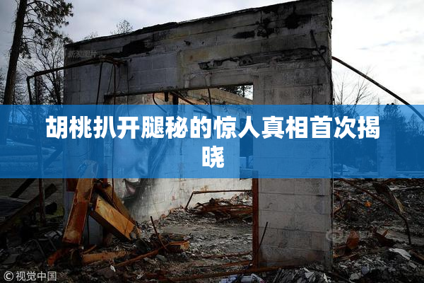 胡桃扒开腿秘的惊人真相首次揭晓