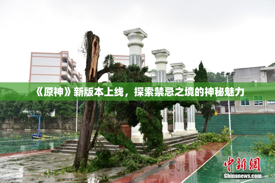 《原神》新版本上线，探索禁忌之境的神秘魅力