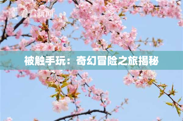 被触手玩：奇幻冒险之旅揭秘