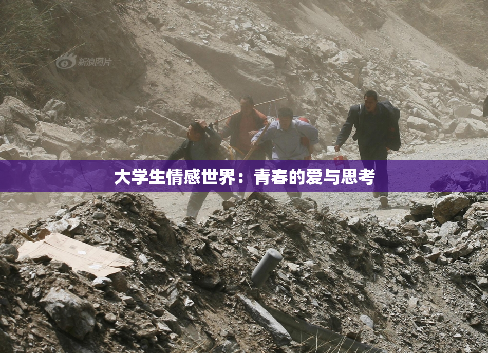 大学生情感世界：青春的爱与思考