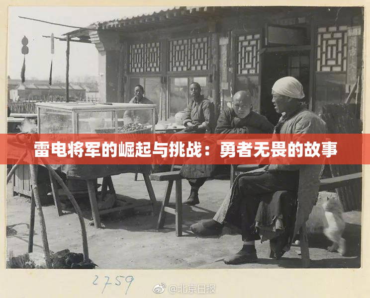 雷电将军的崛起与挑战：勇者无畏的故事