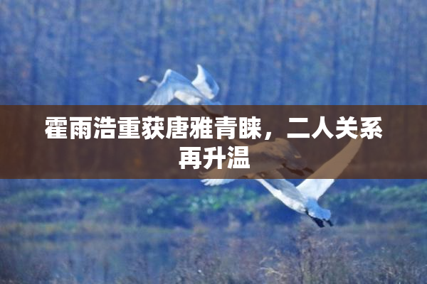 霍雨浩重获唐雅青睐，二人关系再升温