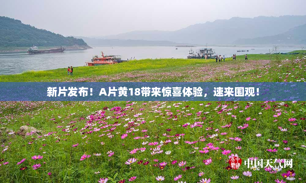 新片发布！A片黄18带来惊喜体验，速来围观！