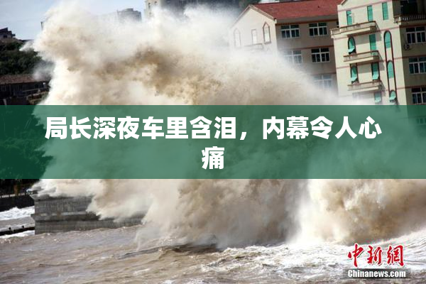局长深夜车里含泪，内幕令人心痛