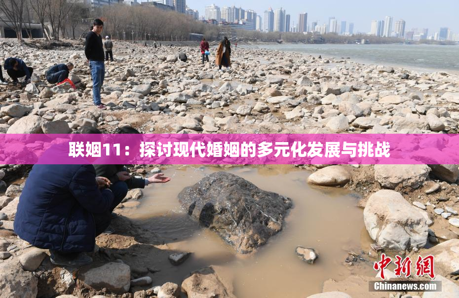 联姻11：探讨现代婚姻的多元化发展与挑战