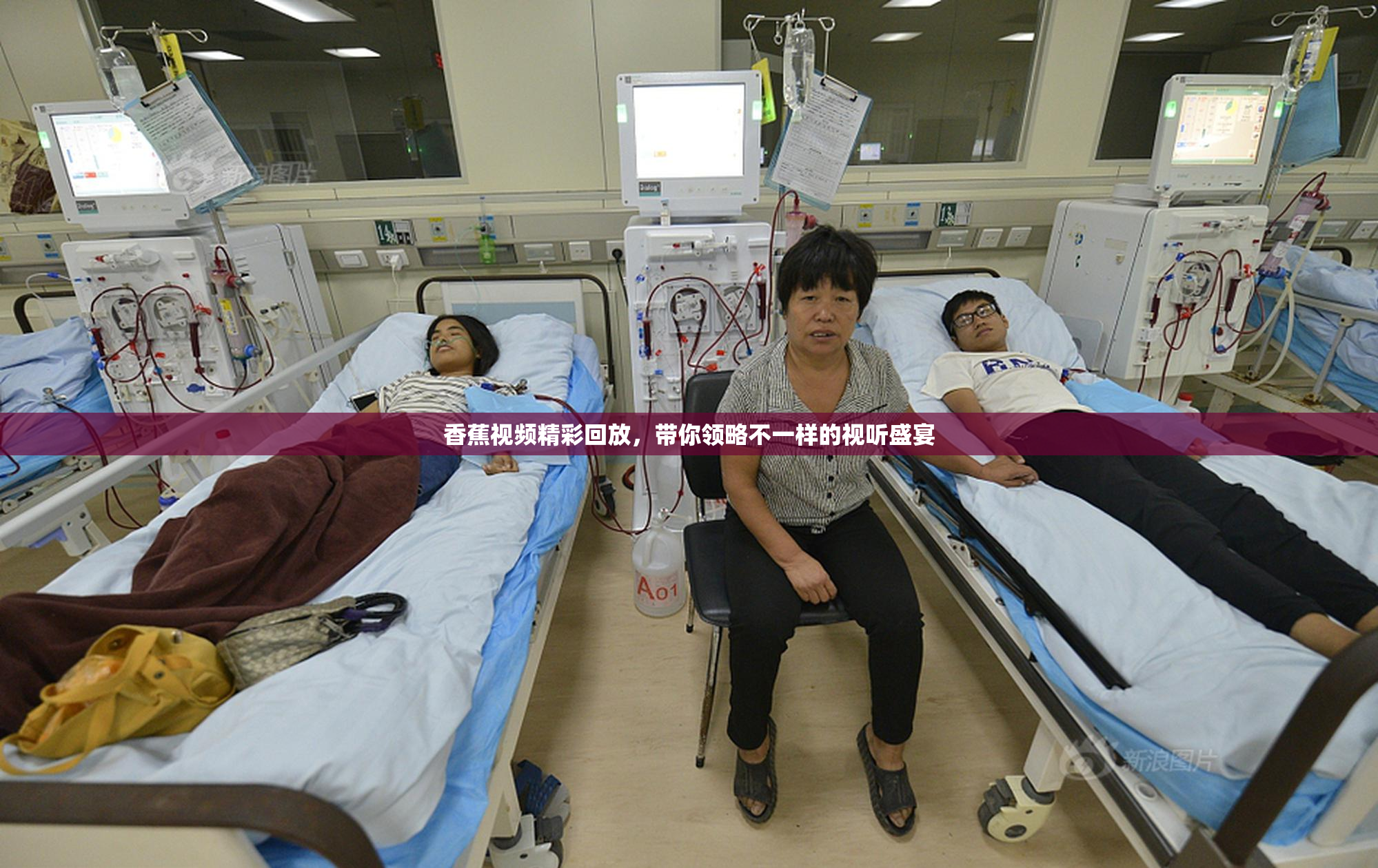 香蕉视频精彩回放，带你领略不一样的视听盛宴
