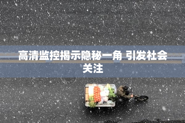 高清监控揭示隐秘一角 引发社会关注
