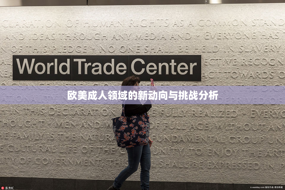 欧美成人领域的新动向与挑战分析