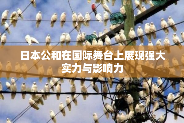 日本公和在国际舞台上展现强大实力与影响力