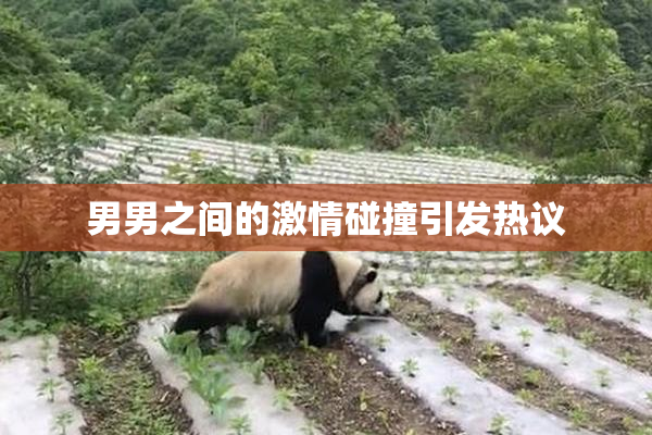 男男之间的激情碰撞引发热议