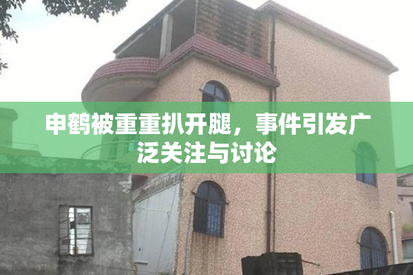 申鹤被重重扒开腿，事件引发广泛关注与讨论