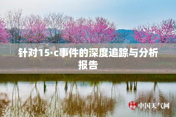 针对15·c事件的深度追踪与分析报告