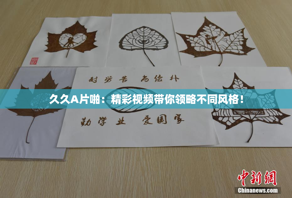 久久A片啪：精彩视频带你领略不同风格！