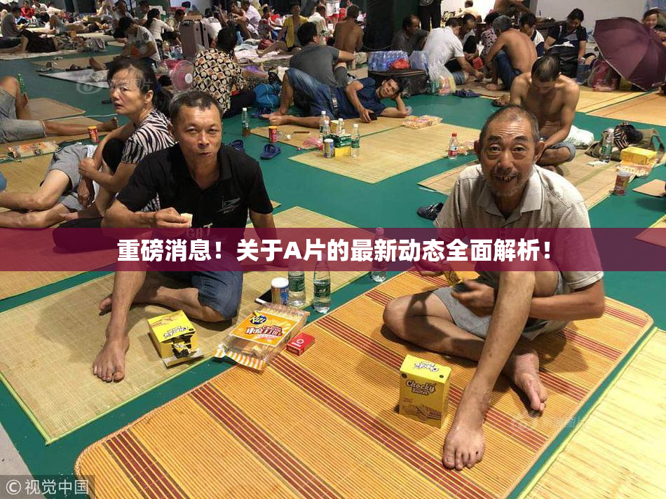 重磅消息！关于A片的最新动态全面解析！