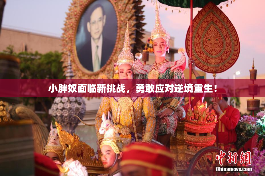 小胖奴面临新挑战，勇敢应对逆境重生！