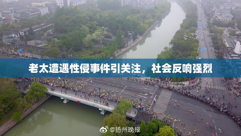 老太遭遇性侵事件引关注，社会反响强烈
