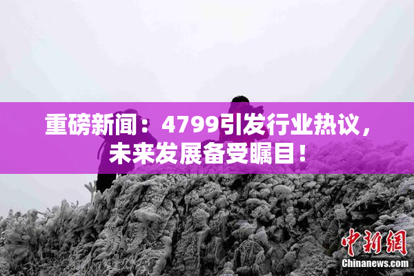 重磅新闻：4799引发行业热议，未来发展备受瞩目！