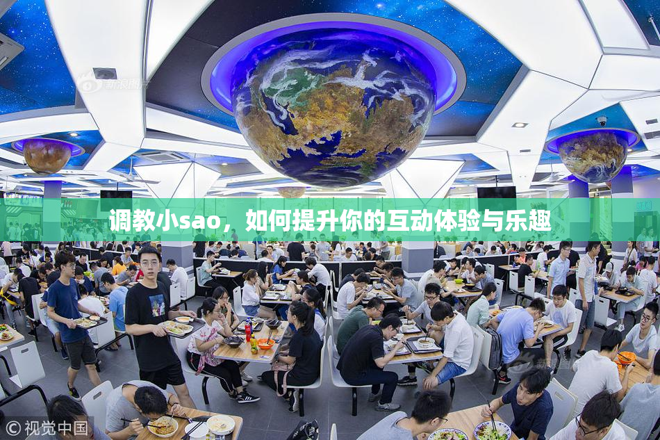 调教小sao，如何提升你的互动体验与乐趣