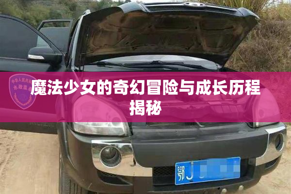 魔法少女的奇幻冒险与成长历程揭秘