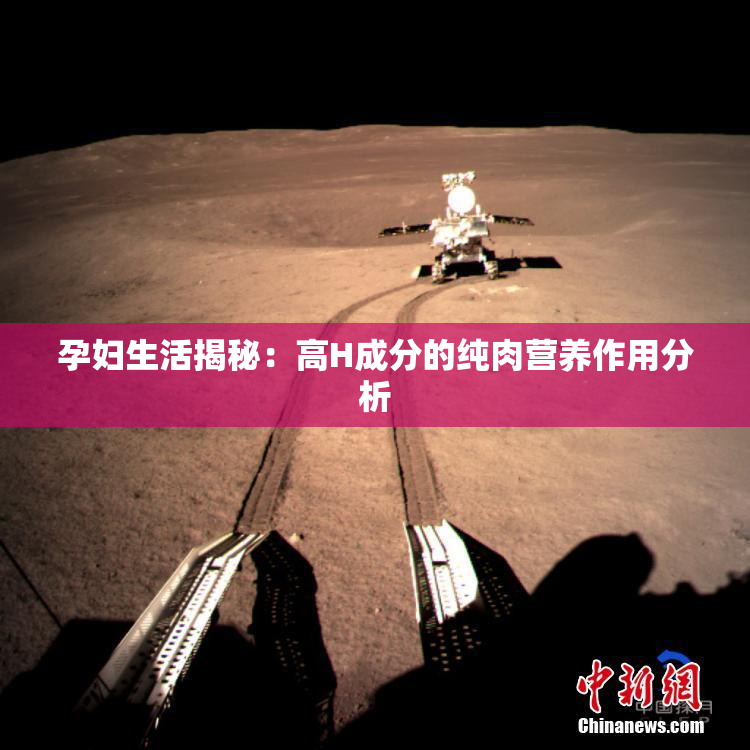 孕妇生活揭秘：高H成分的纯肉营养作用分析