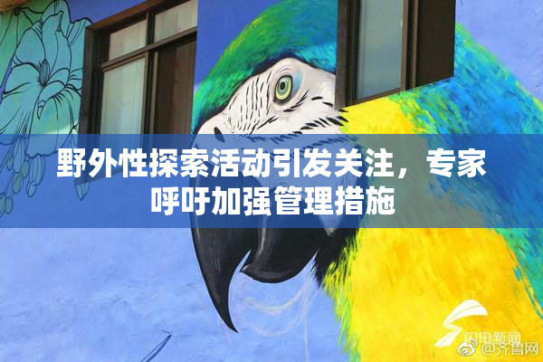 野外性探索活动引发关注，专家呼吁加强管理措施