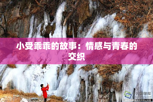 小受乖乖的故事：情感与青春的交织