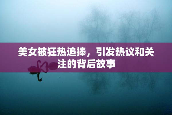 美女被狂热追捧，引发热议和关注的背后故事