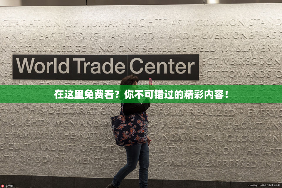 在这里免费看？你不可错过的精彩内容！
