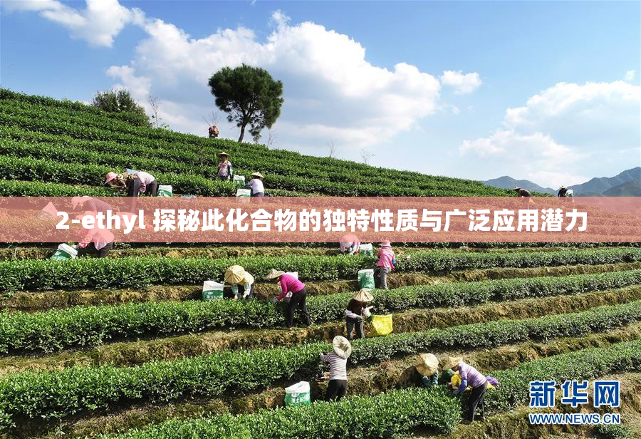 2-ethyl 探秘此化合物的独特性质与广泛应用潜力