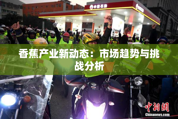 香蕉产业新动态：市场趋势与挑战分析