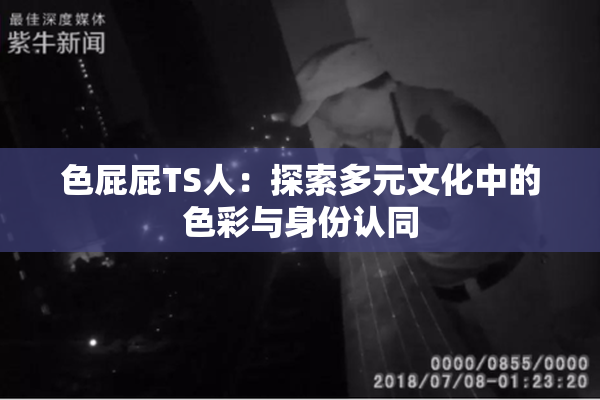 色屁屁TS人：探索多元文化中的色彩与身份认同