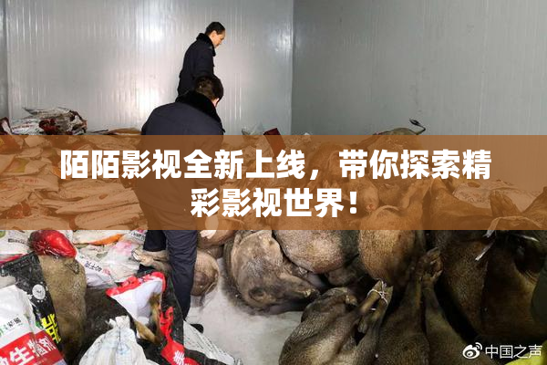 陌陌影视全新上线，带你探索精彩影视世界！