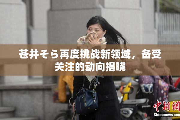 苍井そら再度挑战新领域，备受关注的动向揭晓