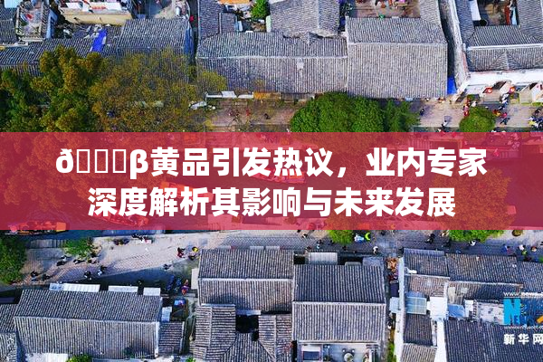 🔞β黄品引发热议，业内专家深度解析其影响与未来发展
