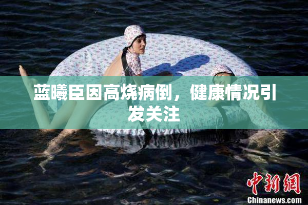 蓝曦臣因高烧病倒，健康情况引发关注