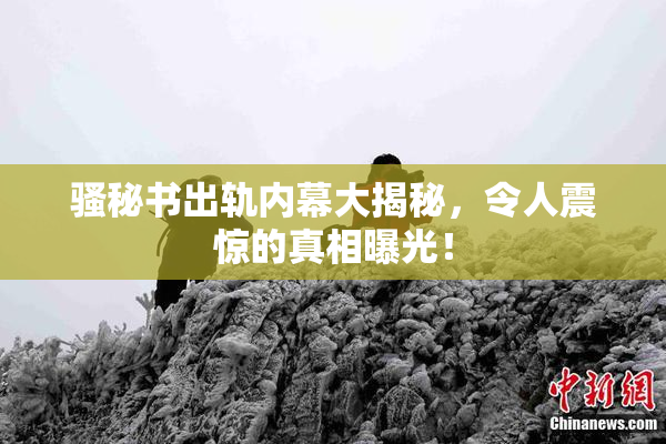 骚秘书出轨内幕大揭秘，令人震惊的真相曝光！