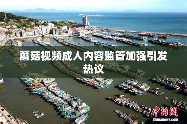蘑菇视频成人内容监管加强引发热议