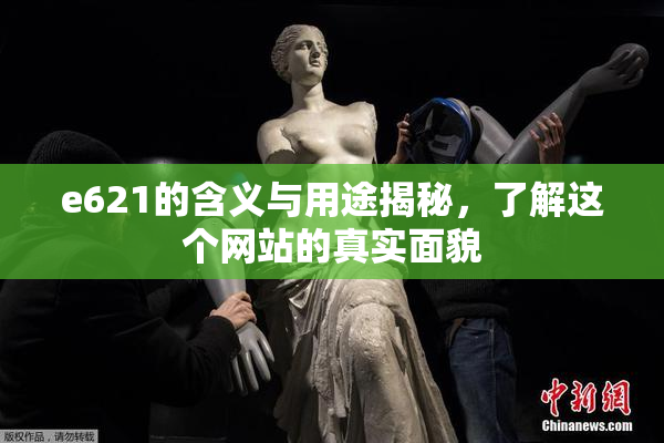 e621的含义与用途揭秘，了解这个网站的真实面貌