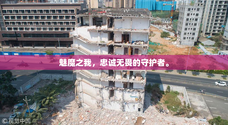 魅魔之我，忠诚无畏的守护者。
