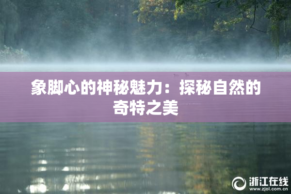 象脚心的神秘魅力：探秘自然的奇特之美