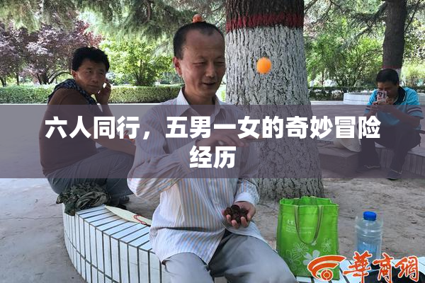 六人同行，五男一女的奇妙冒险经历