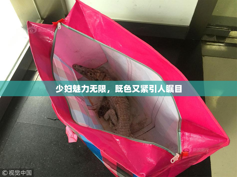 少妇魅力无限，既色又紧引人瞩目