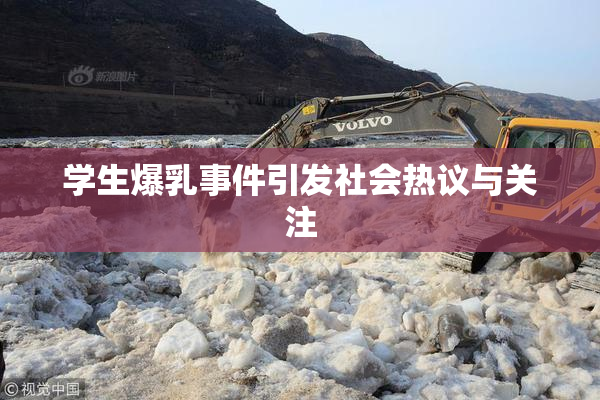 学生爆乳事件引发社会热议与关注
