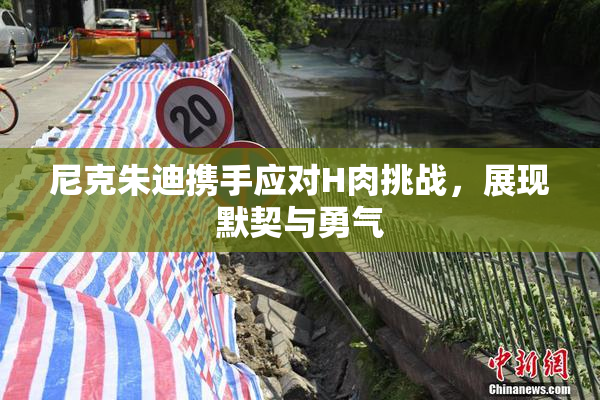 尼克朱迪携手应对H肉挑战，展现默契与勇气