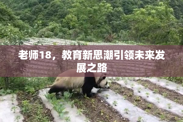 老师18，教育新思潮引领未来发展之路