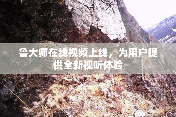鲁大师在线视频上线，为用户提供全新视听体验
