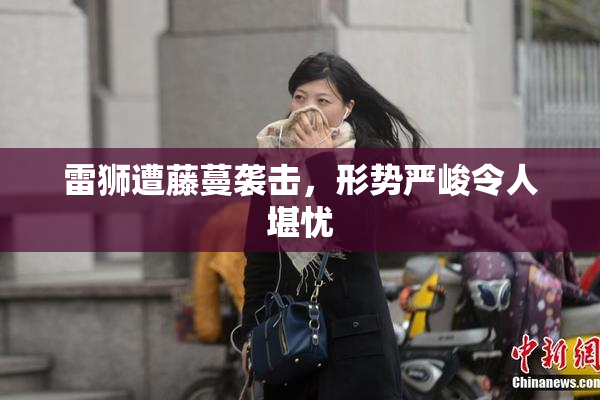 雷狮遭藤蔓袭击，形势严峻令人堪忧