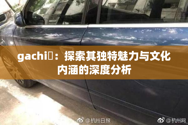gachi籣：探索其独特魅力与文化内涵的深度分析